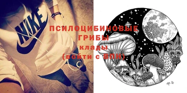 а пвп мука Няндома