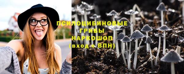 а пвп мука Няндома