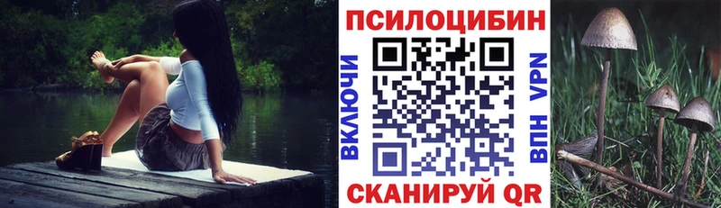 Псилоцибиновые грибы мицелий  MEGA tor  мориарти официальный сайт  Барнаул 