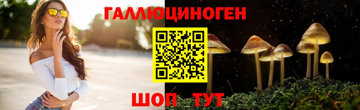 Галлюциногенные грибы Cubensis Барнаул